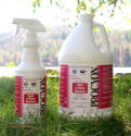 Procyon Spot & Stain RTU gal