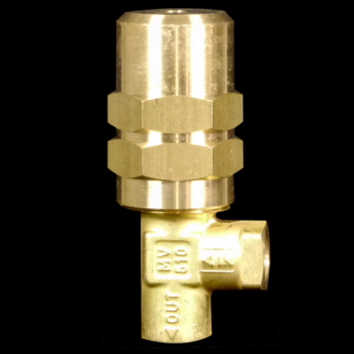 Pressure Regulator 1200 psi